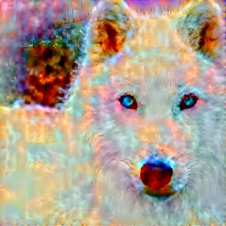 Wolf