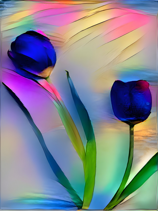 Two tulips