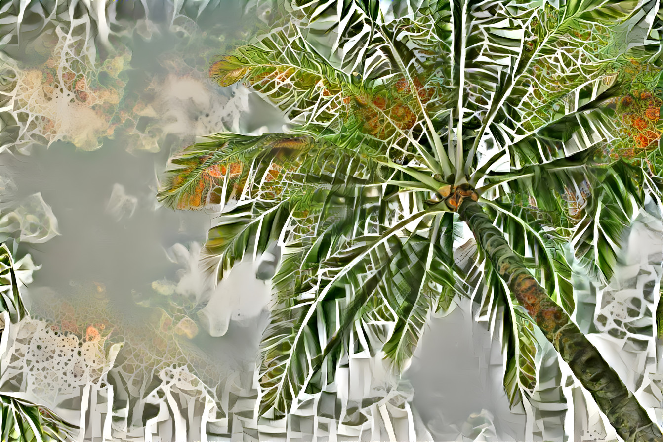 Palm Tree