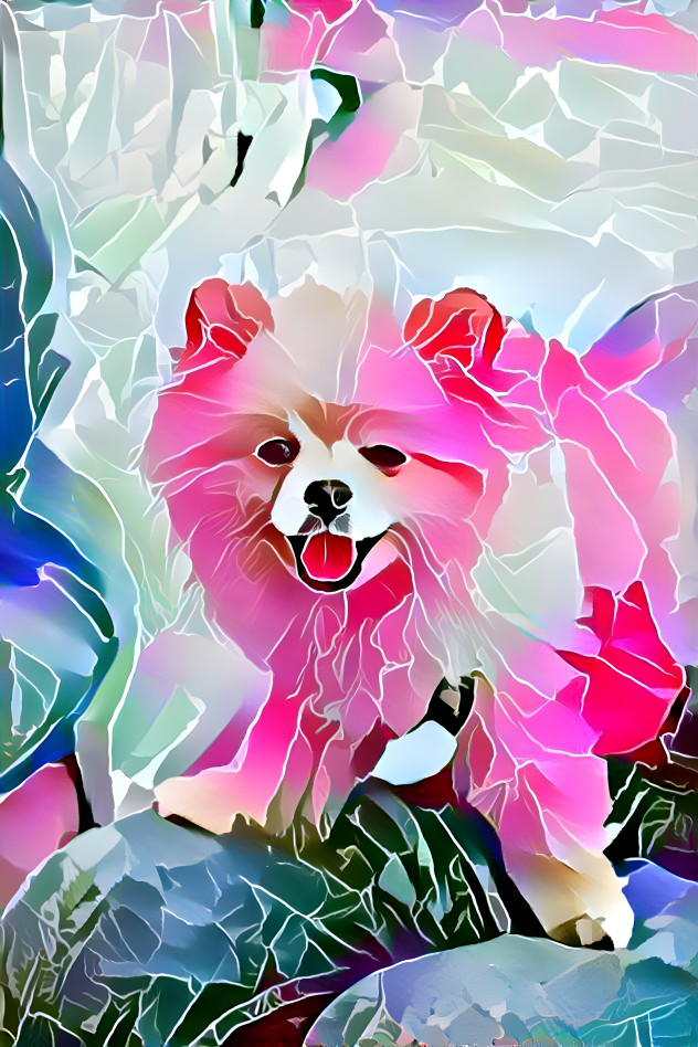 Flower Dog