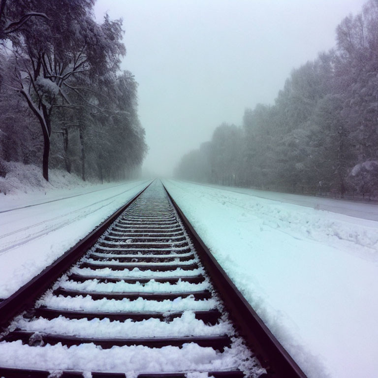 Snow-covered railroad tracks disappearing into foggy distance surrounded by snowy trees.