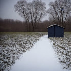 Snowy Path to Small Blue Shed in Winter Scene