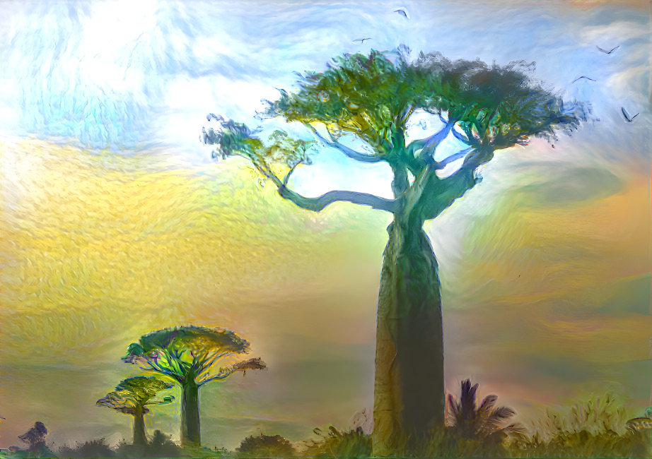 baobab