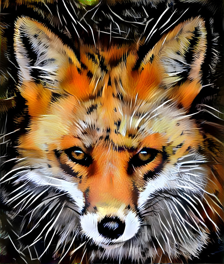 Fox