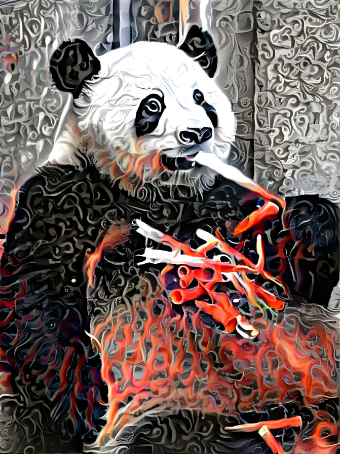 Panda eating