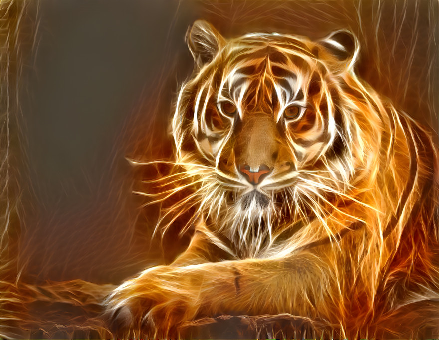 light on tiger