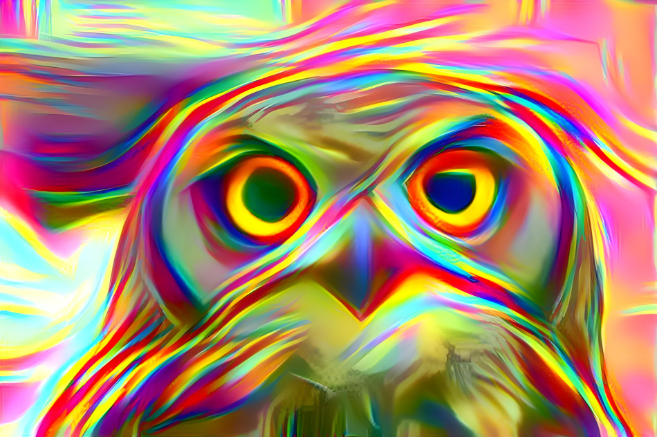 Owl