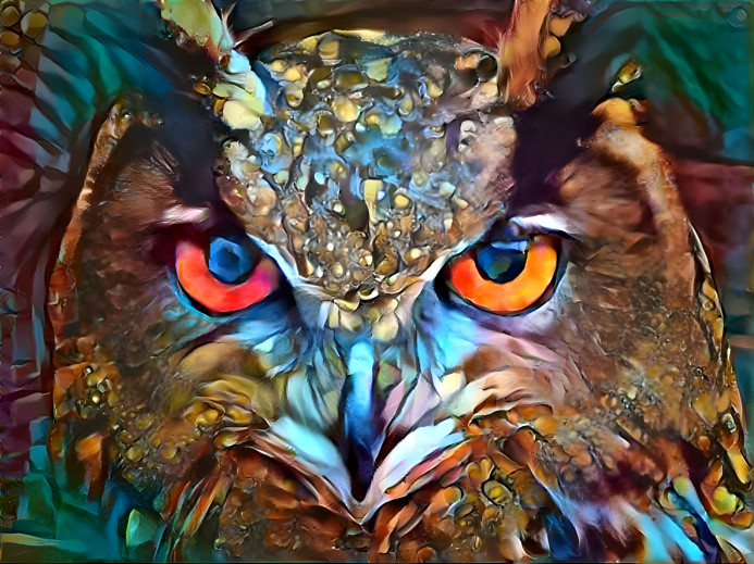 owl