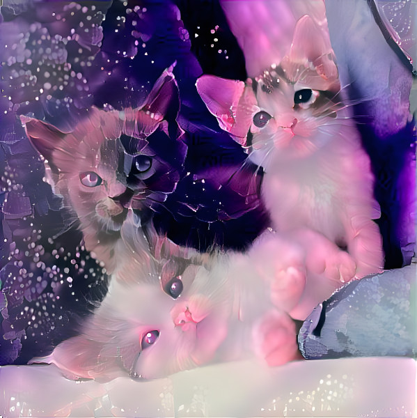 kittens