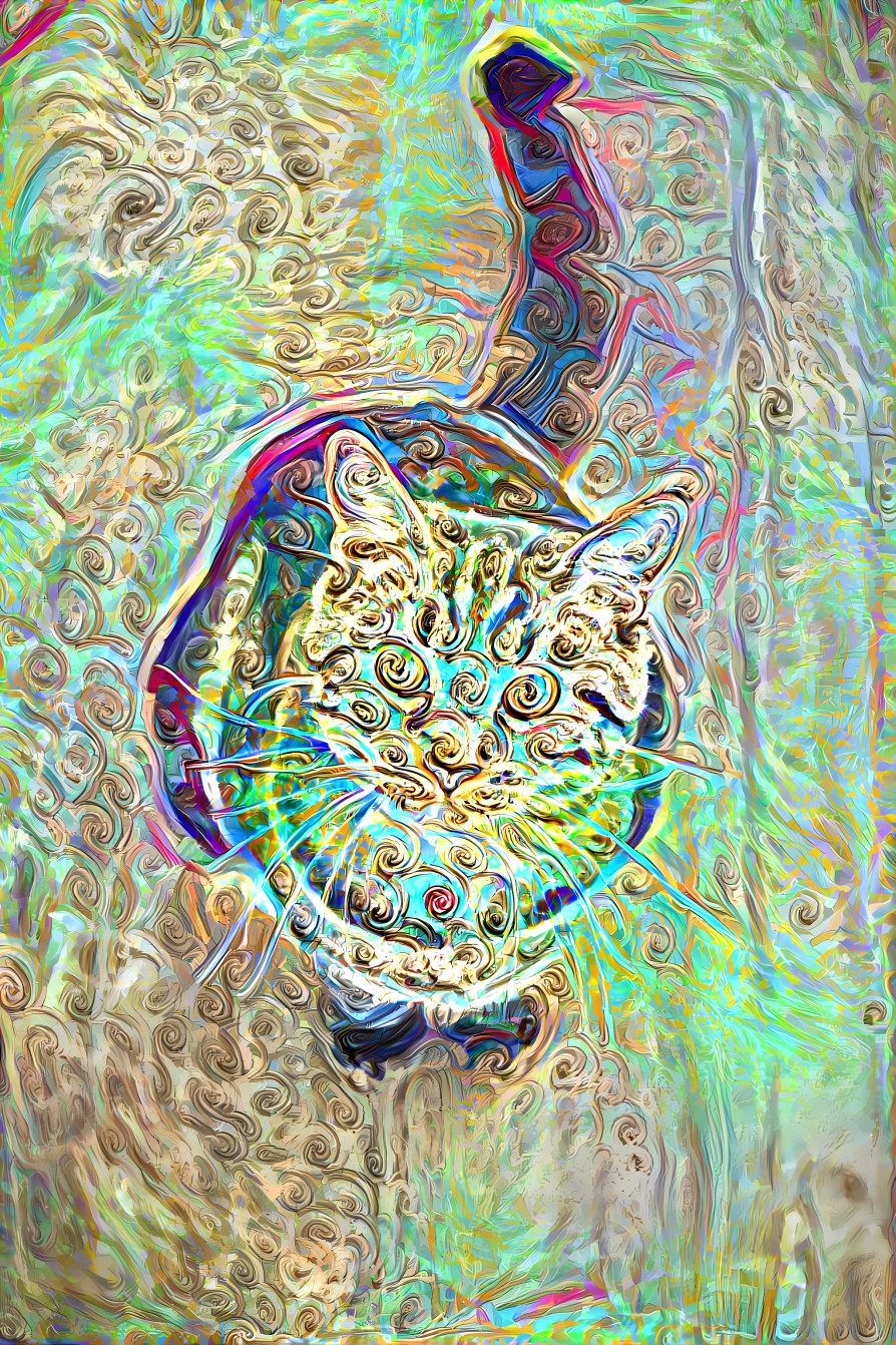 cat