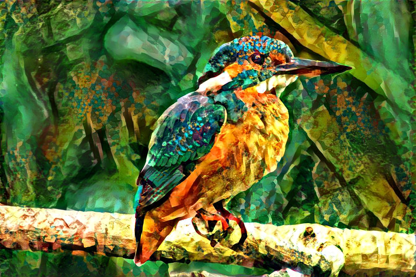 kingfisher