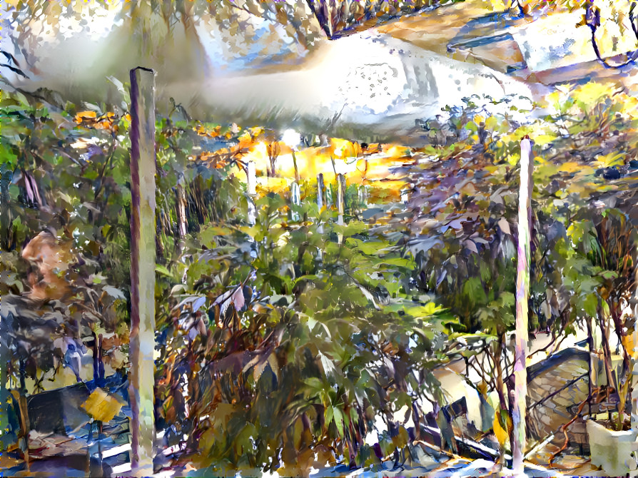 Dispensary Jungle