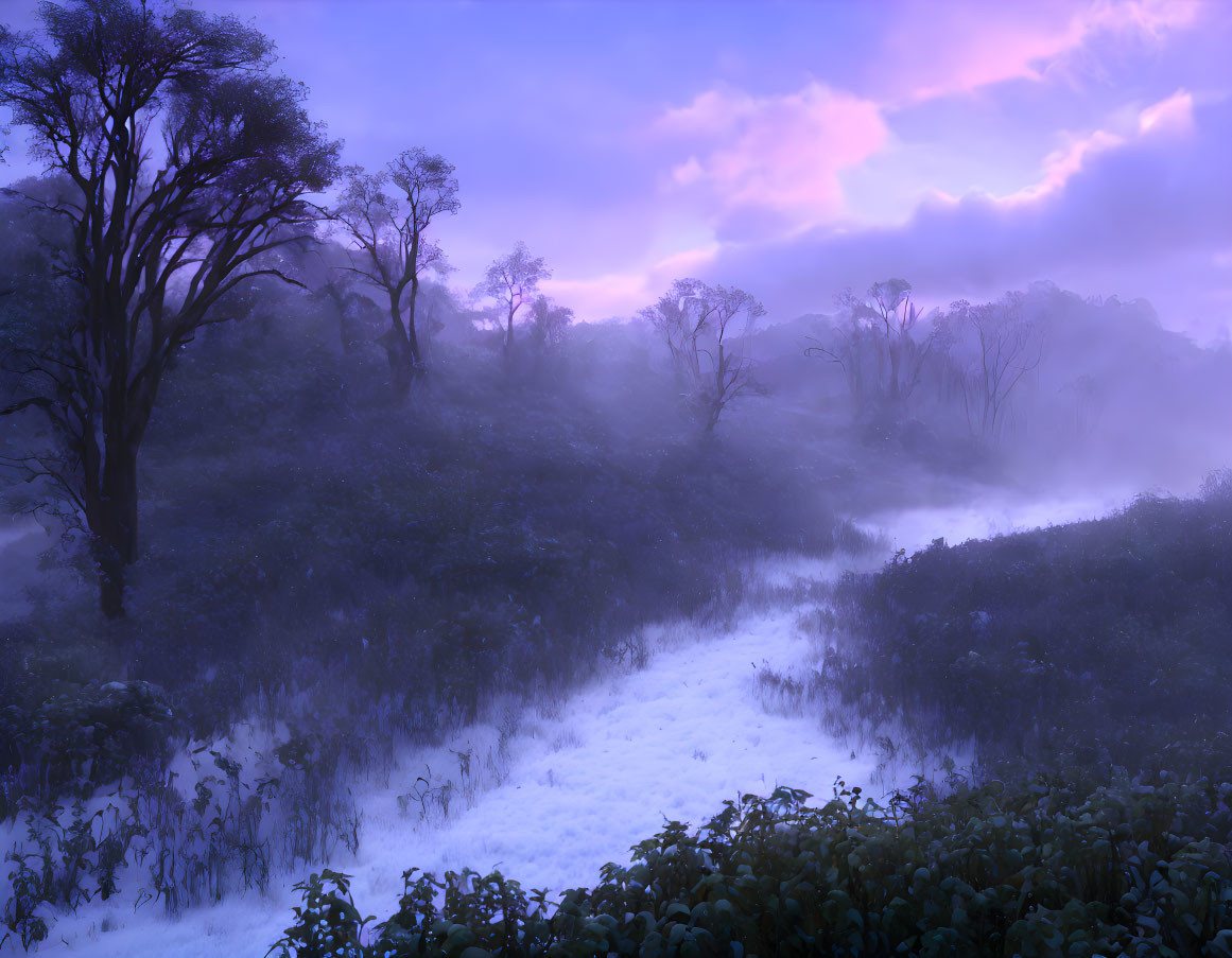 Misty twilight over wooded landscape with winding trail