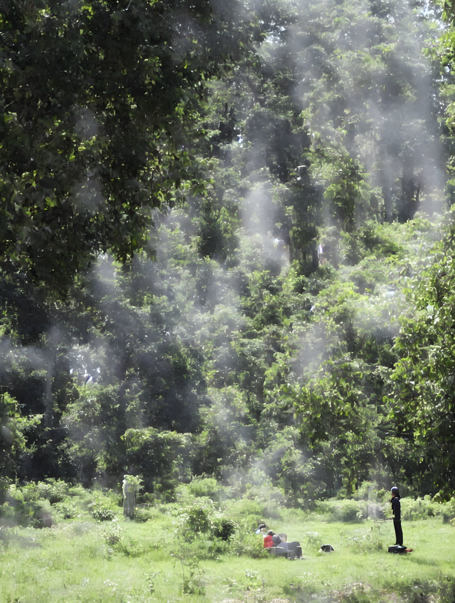 Person in sunlit meadow surrounded by trees and mist.