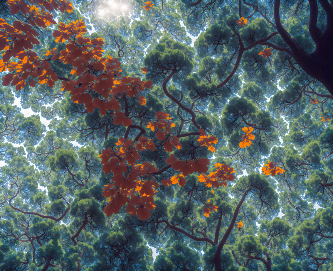 Vibrant orange leaves canopy against green foliage