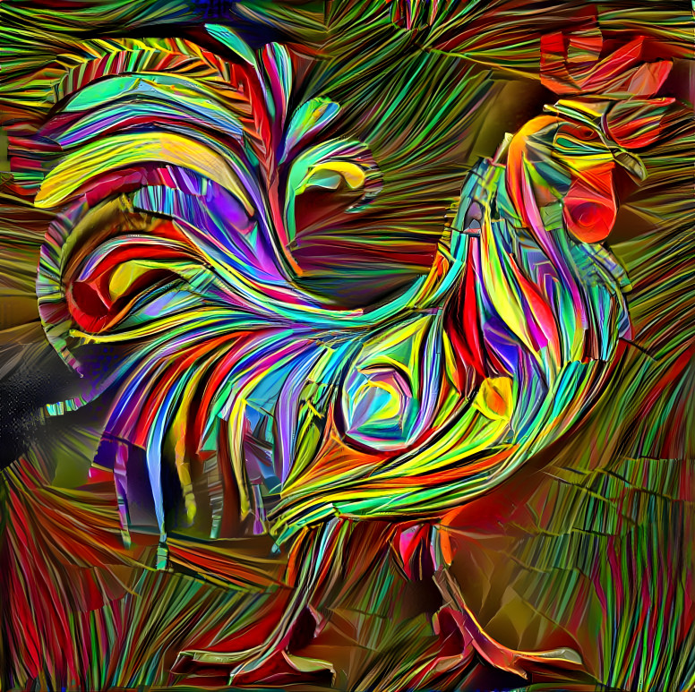 coq de compagne du Maroc