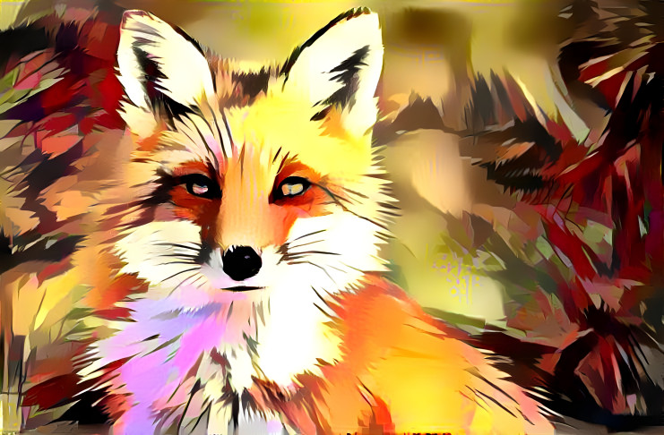 Fox