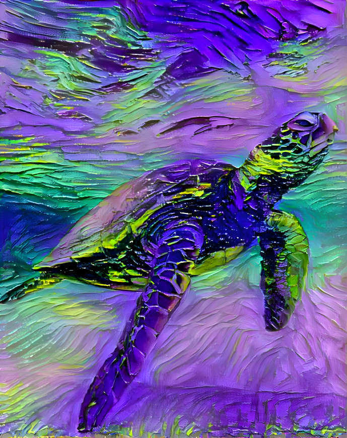 Tortuga