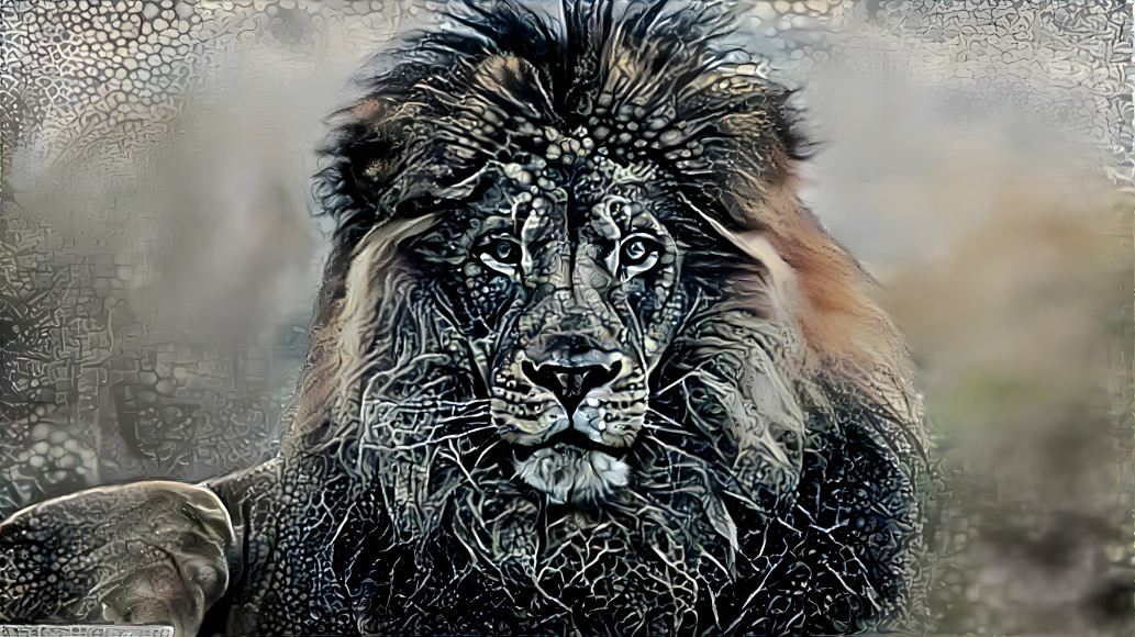 lion 