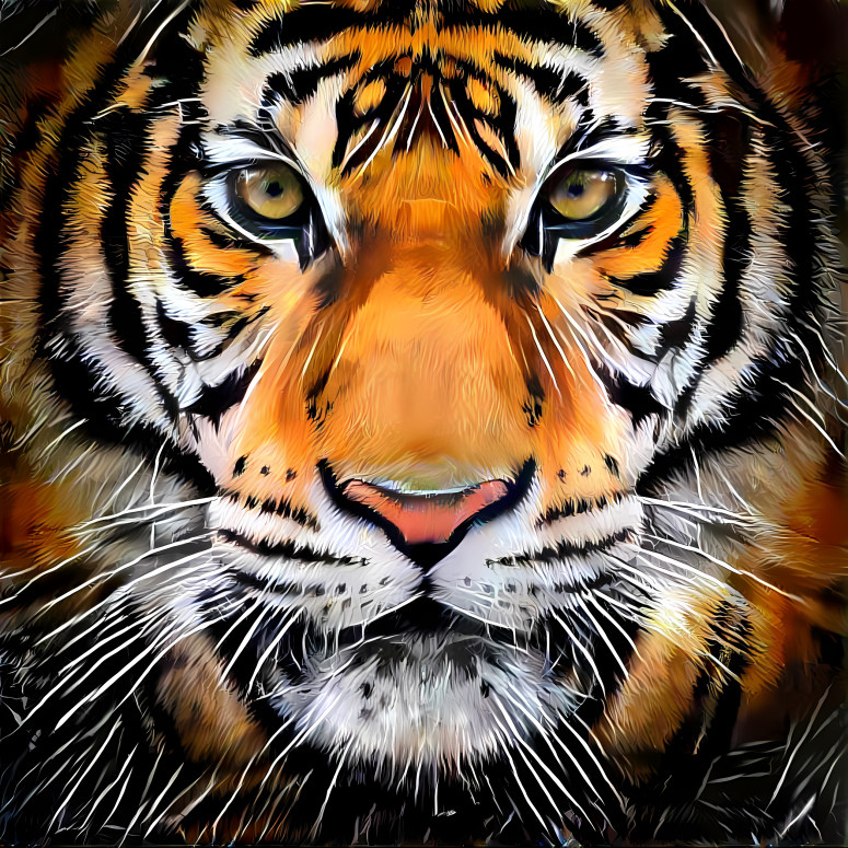 tiger