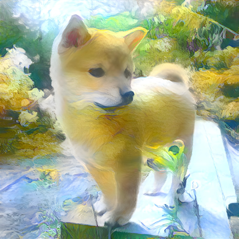 Shiba