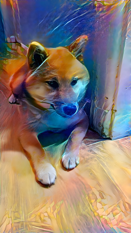 Shiba