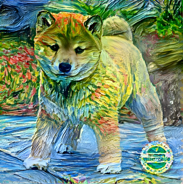 Shiba