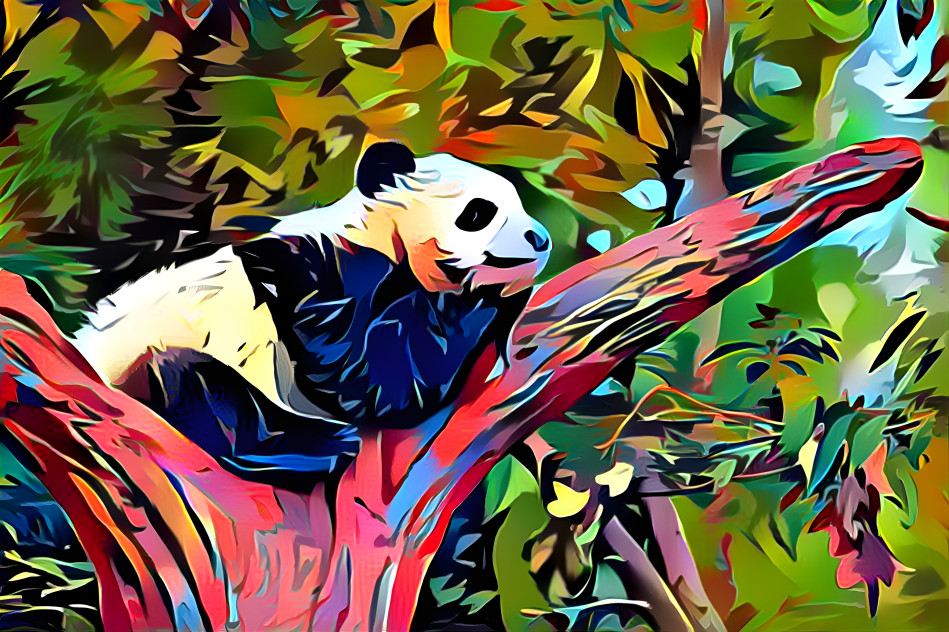 Panda