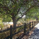 Tranquil landscape with rushing stream, old fence, lush greenery, and sprawling tree