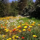 Lush green trees and wildflowers in a vibrant meadow