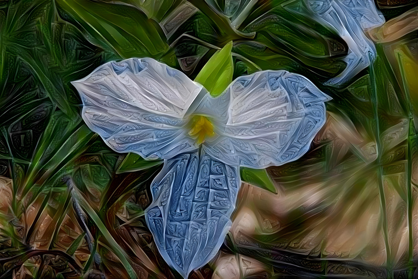 Trillium