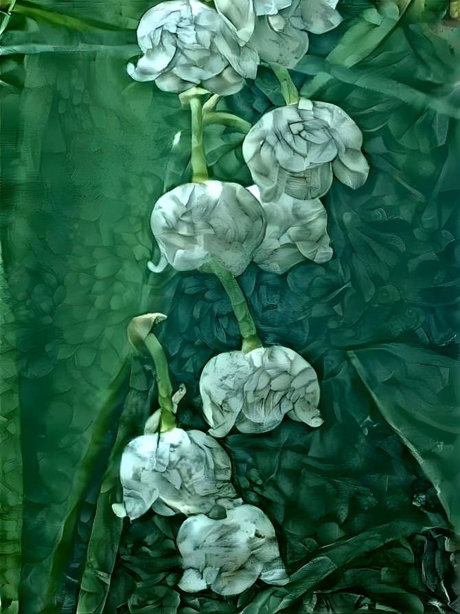 Lily of the Valley