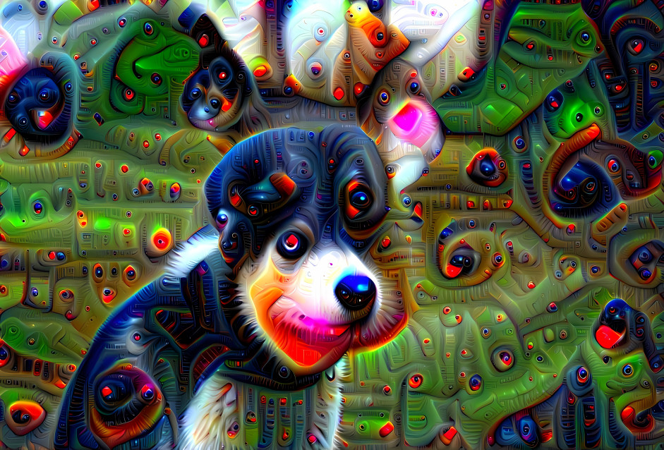 deep dream dog