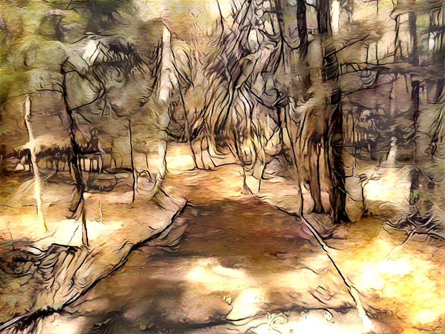 Forest Path