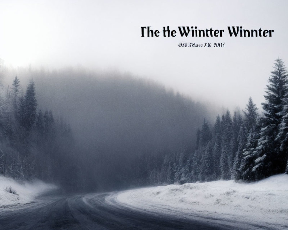 Snow-covered pine tree forest with a curving road in misty winter landscape