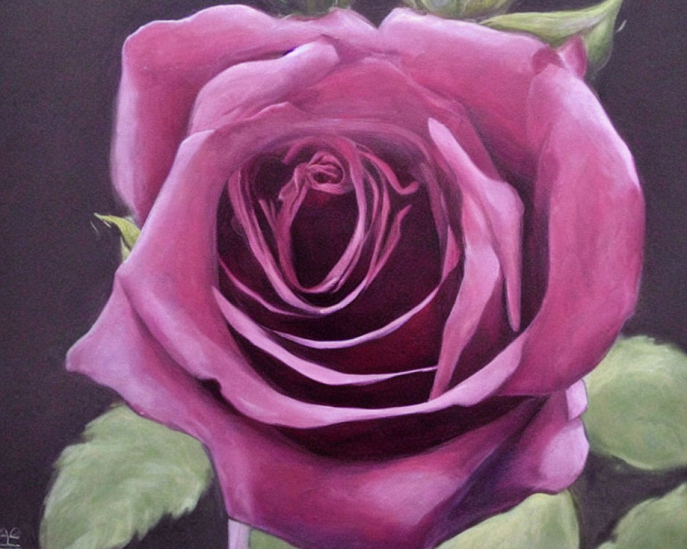 Vibrant purple rose painting on dark background