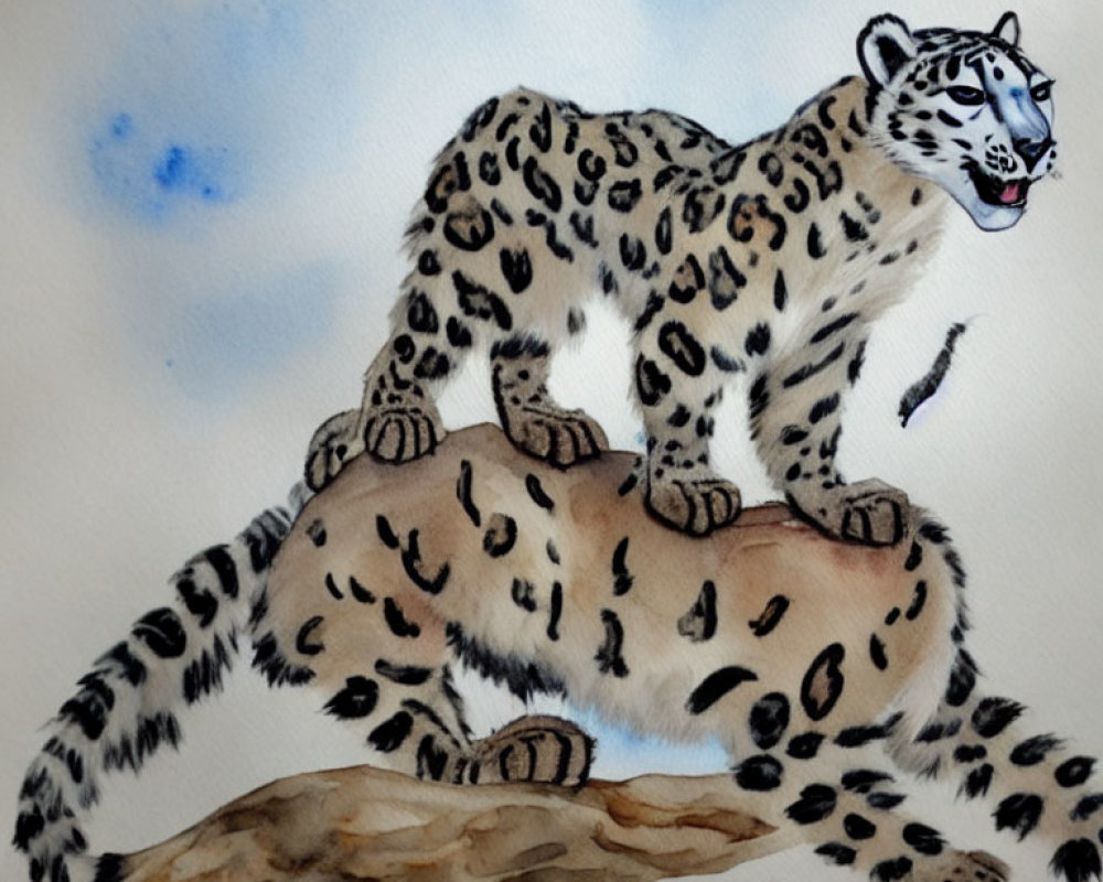 Snow leopard watercolor painting: heavy coat, rosette spots, rocky outcrop, pale blue