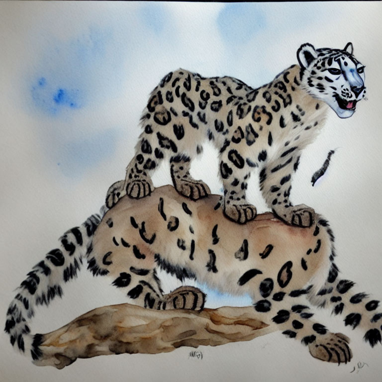 Snow leopard watercolor painting: heavy coat, rosette spots, rocky outcrop, pale blue