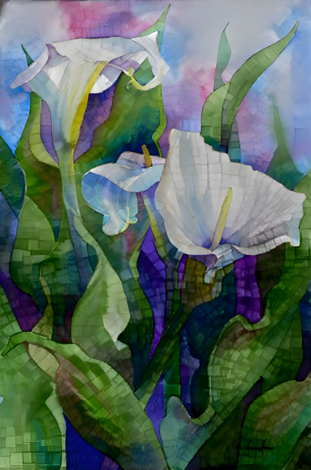 Lilies