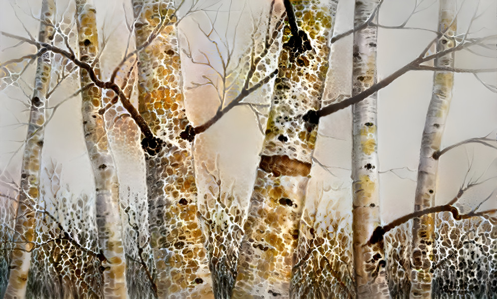 White Birches