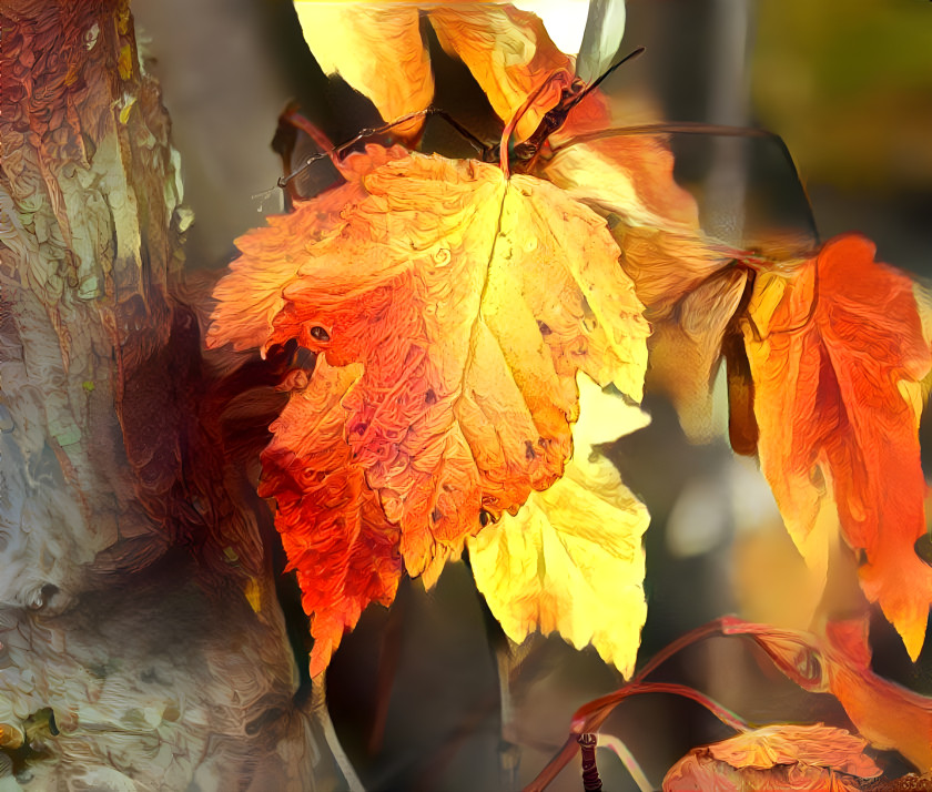 Orange you glad it's not winter yet?