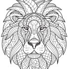 Colorful Lion Illustration with Majestic Mane and Abstract Patterns