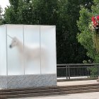 White Unicorn in Translucent Box on Enchanting Garden Terrace