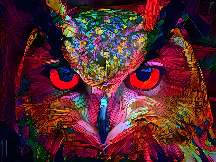 owl