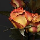 Golden roses with dewdrops in vibrant digital painting