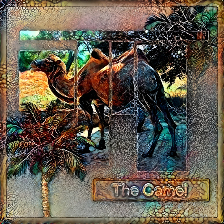 The Camel