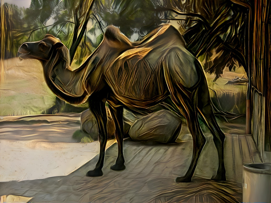 Camel2