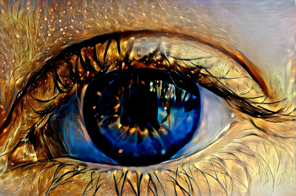 Eye See Lights