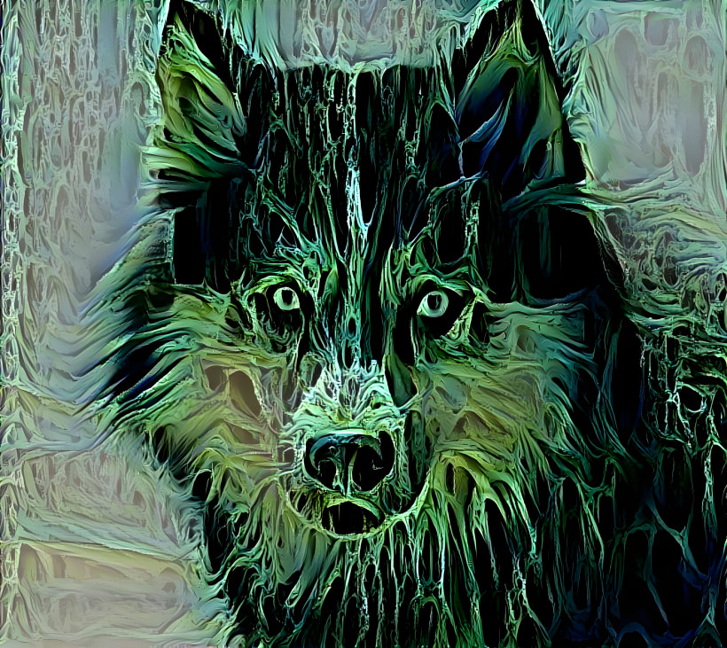 Wet wolf