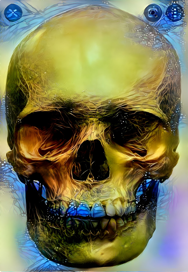 Skull